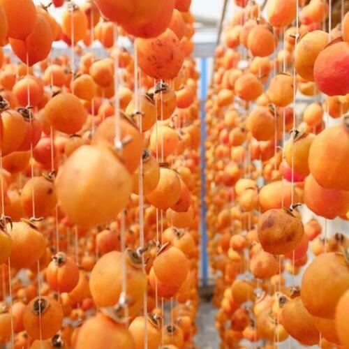 Hồng Sấy Gió Đà Lạt: Đặc Sản Mới Có Giá Trên Trời, Thu Hút Người Tiêu Dùng